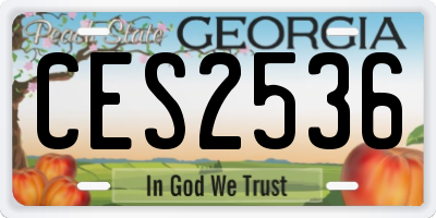 GA license plate CES2536