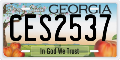 GA license plate CES2537