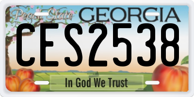 GA license plate CES2538