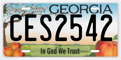 GA license plate CES2542