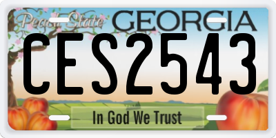 GA license plate CES2543