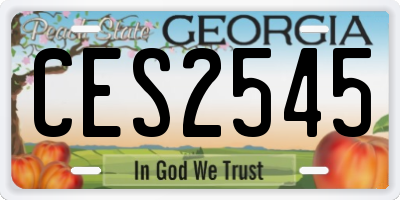 GA license plate CES2545