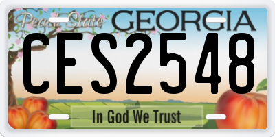 GA license plate CES2548