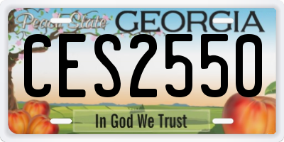 GA license plate CES2550