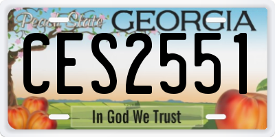 GA license plate CES2551