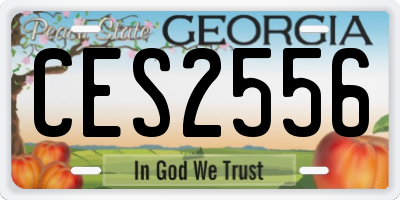 GA license plate CES2556