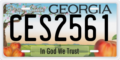 GA license plate CES2561