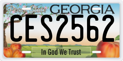 GA license plate CES2562