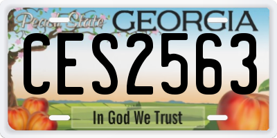 GA license plate CES2563