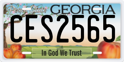 GA license plate CES2565