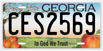 GA license plate CES2569