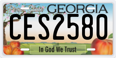GA license plate CES2580