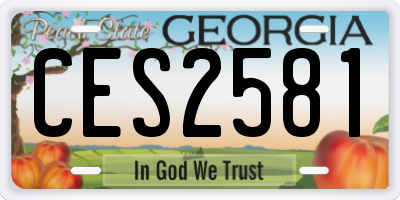 GA license plate CES2581