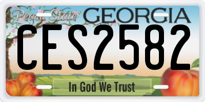 GA license plate CES2582