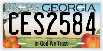 GA license plate CES2584