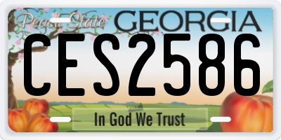GA license plate CES2586