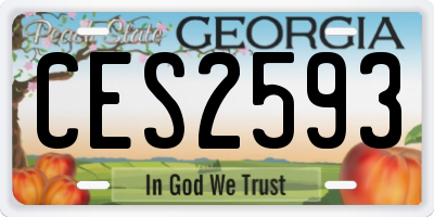 GA license plate CES2593