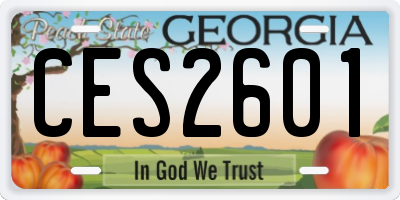 GA license plate CES2601