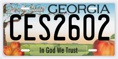 GA license plate CES2602