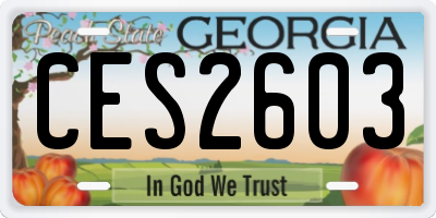 GA license plate CES2603