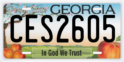 GA license plate CES2605