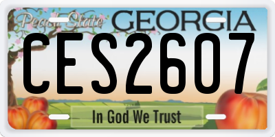 GA license plate CES2607