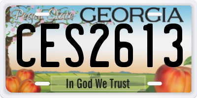 GA license plate CES2613
