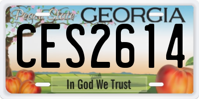GA license plate CES2614
