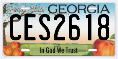 GA license plate CES2618