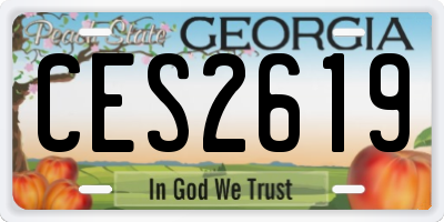 GA license plate CES2619