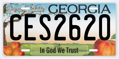 GA license plate CES2620