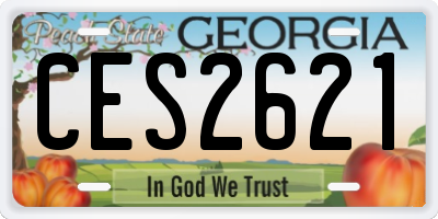 GA license plate CES2621