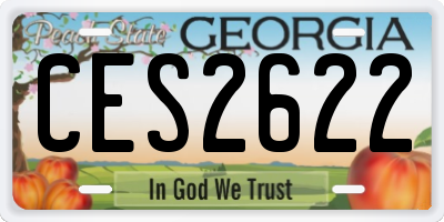 GA license plate CES2622