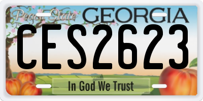 GA license plate CES2623