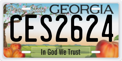 GA license plate CES2624