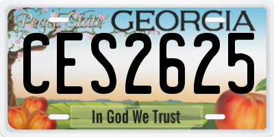 GA license plate CES2625
