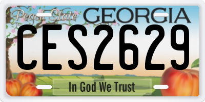 GA license plate CES2629