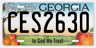 GA license plate CES2630
