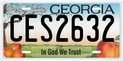 GA license plate CES2632