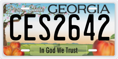 GA license plate CES2642