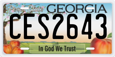 GA license plate CES2643