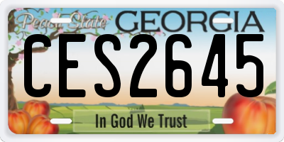 GA license plate CES2645