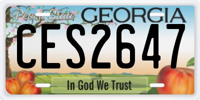 GA license plate CES2647