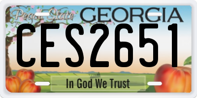 GA license plate CES2651