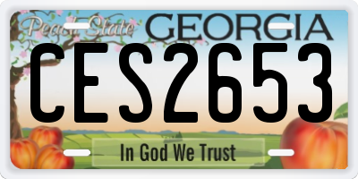 GA license plate CES2653