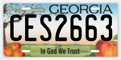 GA license plate CES2663