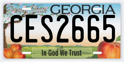 GA license plate CES2665