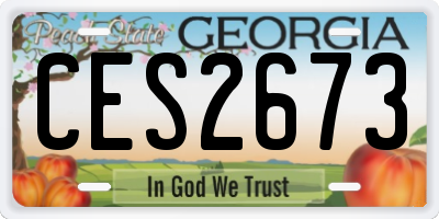 GA license plate CES2673