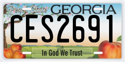 GA license plate CES2691