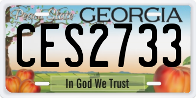GA license plate CES2733